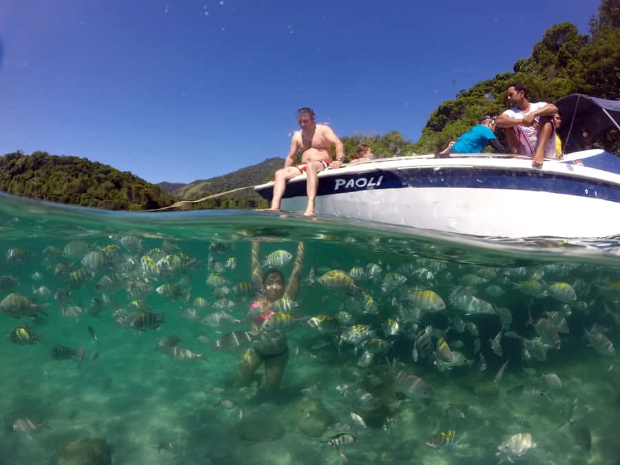Angra dos Reis and Ilha Grande: Small-Group Fast-Boat Tour - Rio to Angra dos Reis: the 3-hour start that sets the tone