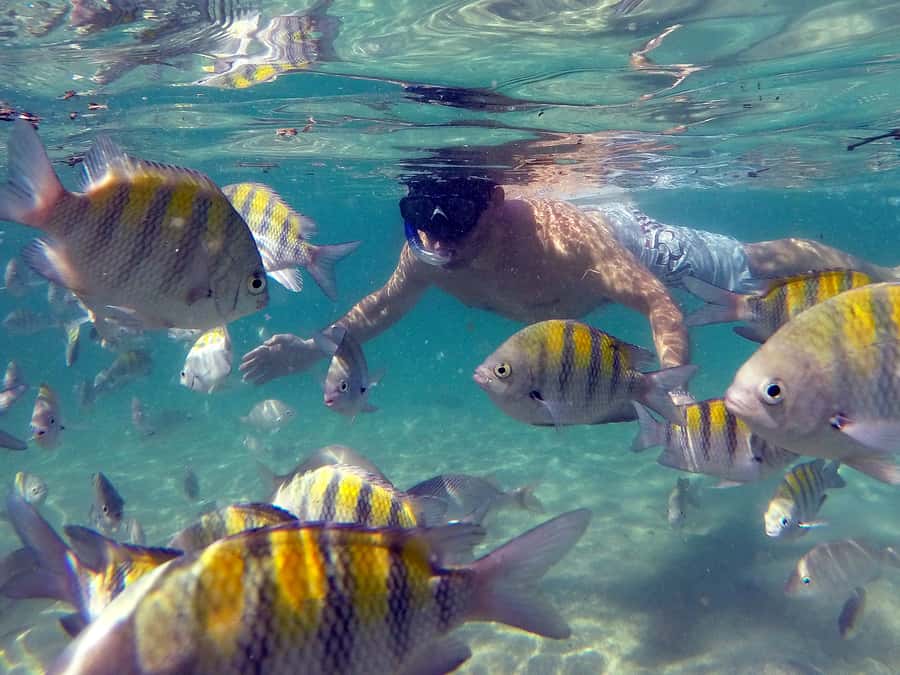 Angra dos Reis and Ilha Grande: Small-Group Fast-Boat Tour - Food and drinks: the snack strategy for a long boat day