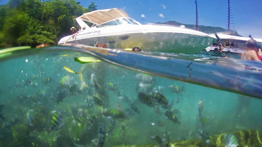 Angra dos Reis: Super Lagoa Azul Speedboat Tour - Group Size, Driver, and the Human Side of the Day