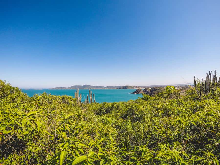 Armação dos Búzios: Walk Through the Natural Pools in Búzios - Praia dos Amores: a small beach, almond tree shade, and calm time