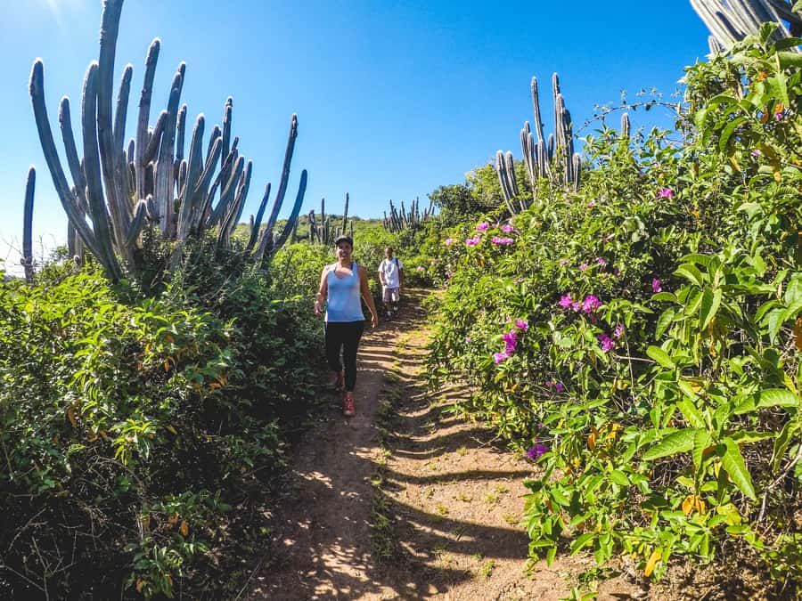Armação dos Búzios: Walk Through the Natural Pools in Búzios - What to bring, so the walk stays enjoyable