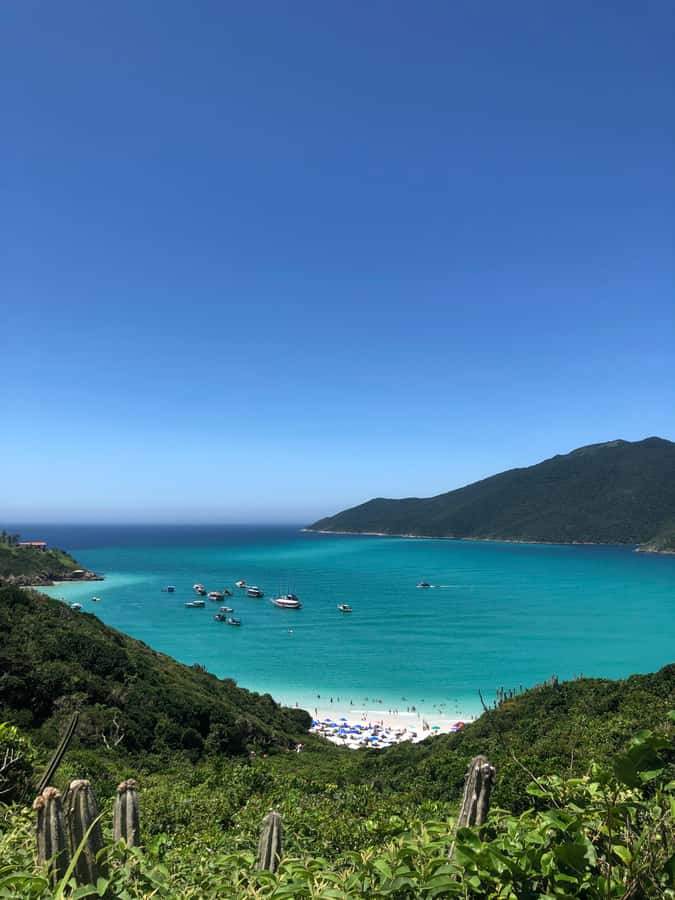 Arraial do Cabo: Boat Trip with Waterslide - Meeting at Porto do Forno Pier 2, and finding Aline