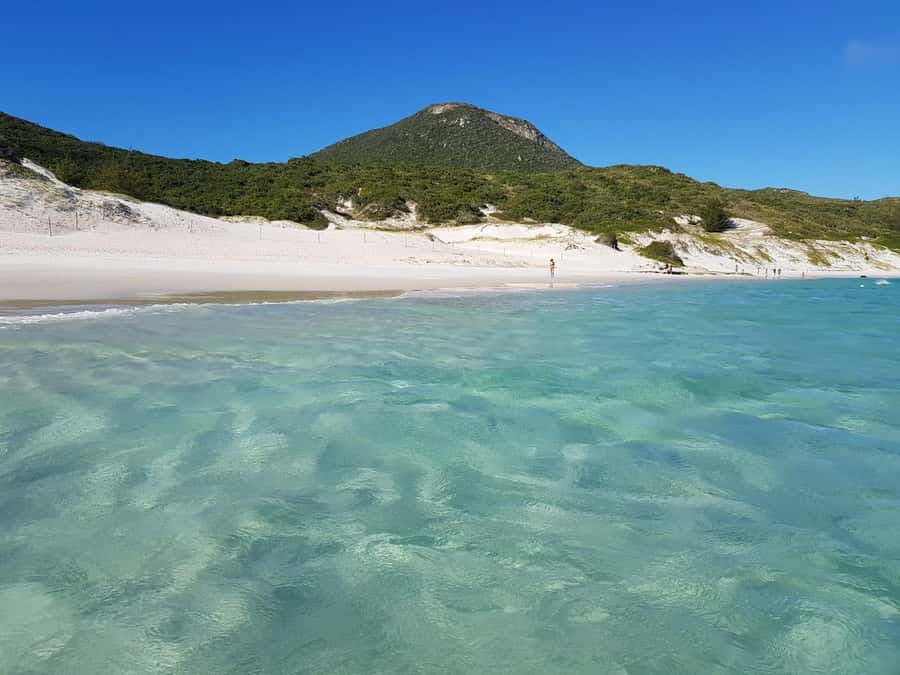 Arraial do Cabo with Boat Trip - Departure from Arraial - Arraial do Cabo in 4 hours: what you’re really buying