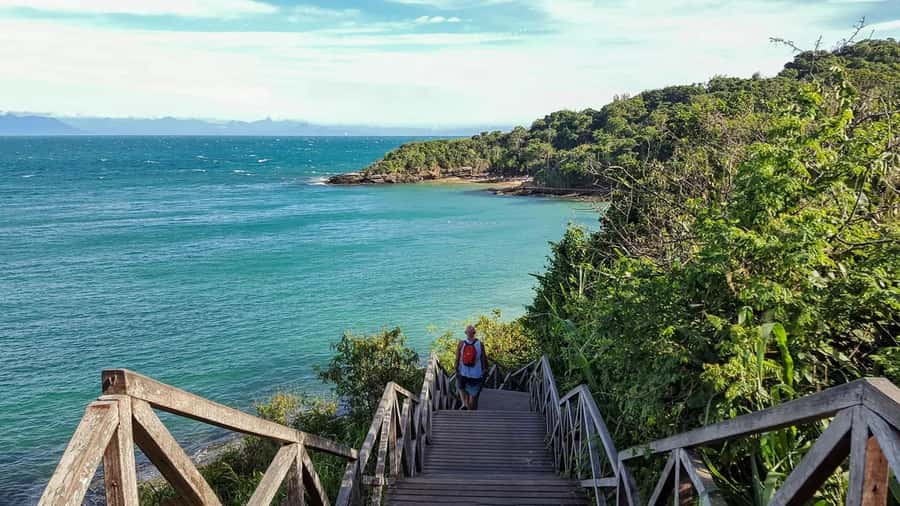 Boat Trip in Búzios - Price and Value: Is $84 Actually a Good Deal?