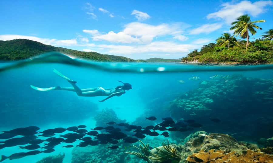 Buzios - DIVING EXPERIENCE - Key things that make this experience worth your time