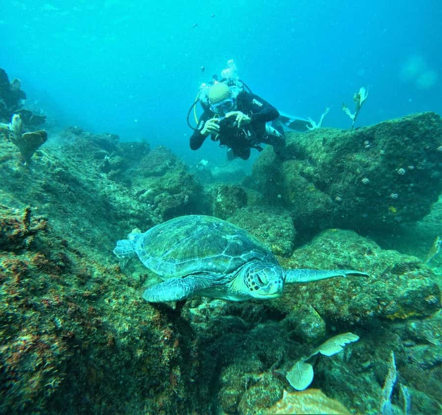 Buzios - DIVING EXPERIENCE - João Fernandinho: your starting line, staircase and all