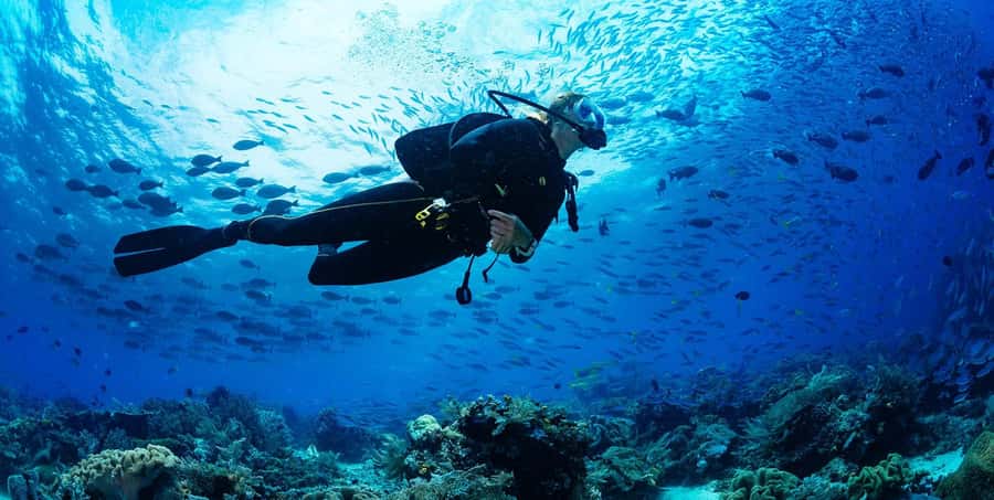 Buzios - DIVING EXPERIENCE - Water adaptation with no time pressure