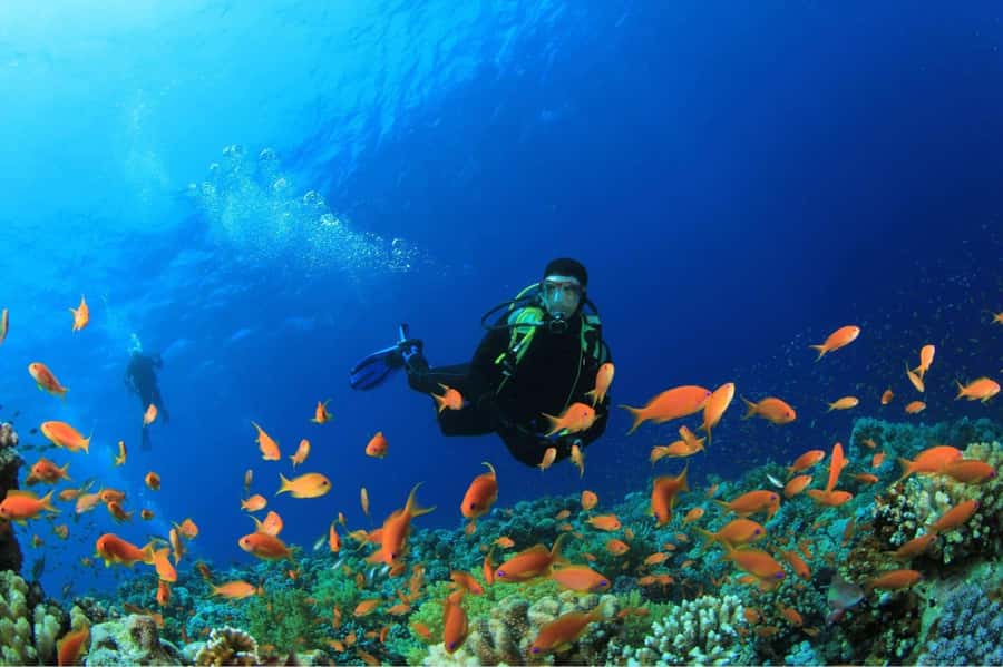 Buzios - DIVING EXPERIENCE - The 1.5-hour class: what you learn before you go