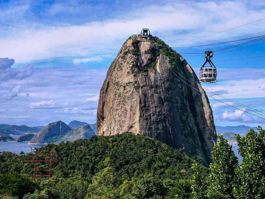 Christ the Redeemer and Escadaria Selarón Half-Day Tour - Key things that make this tour worth your time