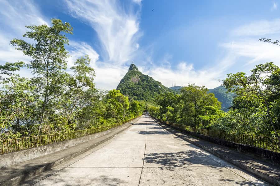 Christ the Redeemer and Escadaria Selarón Half-Day Tour - Included tickets, cash options, and the one thing to watch