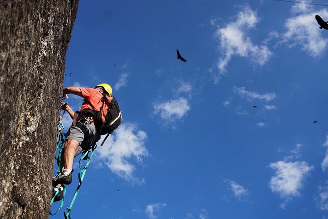 Climb Rio de Janeiro: Rock Climbing Tailored for All Levels - How your route gets matched to your experience