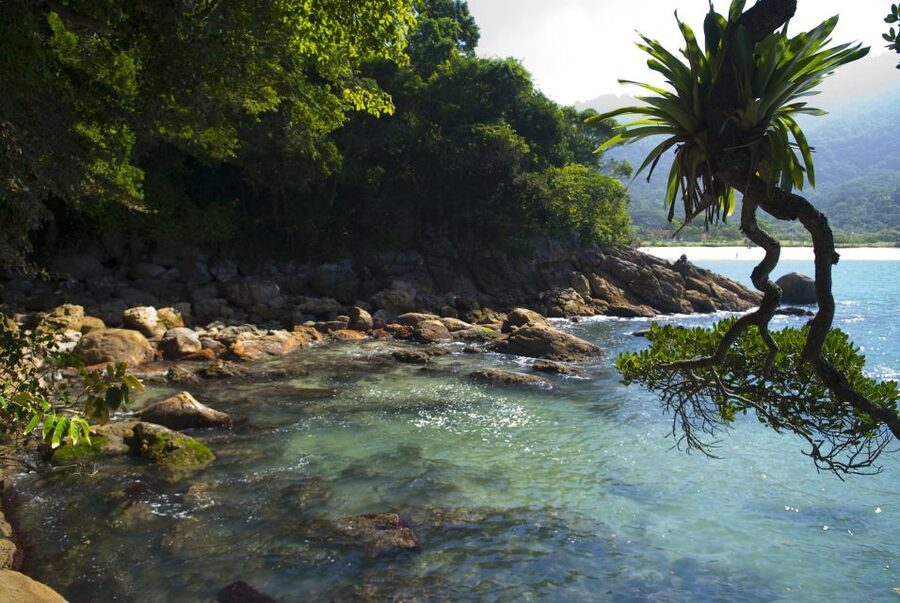 Day Tour to Trindade: Nature and Sea Adventure from Paraty - Snorkel Gear, Water Conditions, and the Boat Back Idea