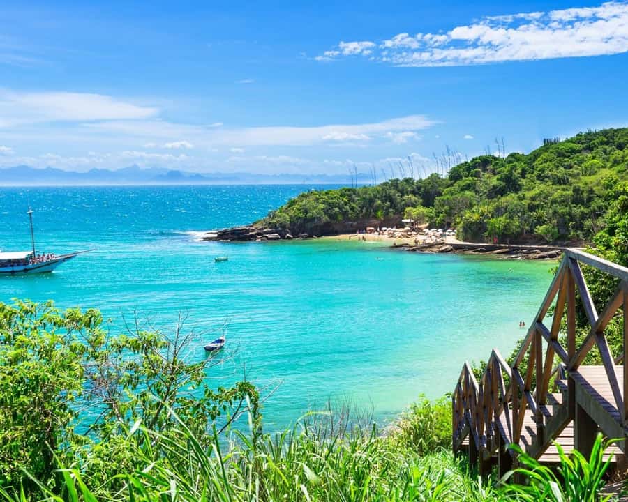 Discover Búzios Beaches and Boat Tours - Leaving from Búzios - Beach stop breakdown, Praia da Tartaruga to Praia das Virgens