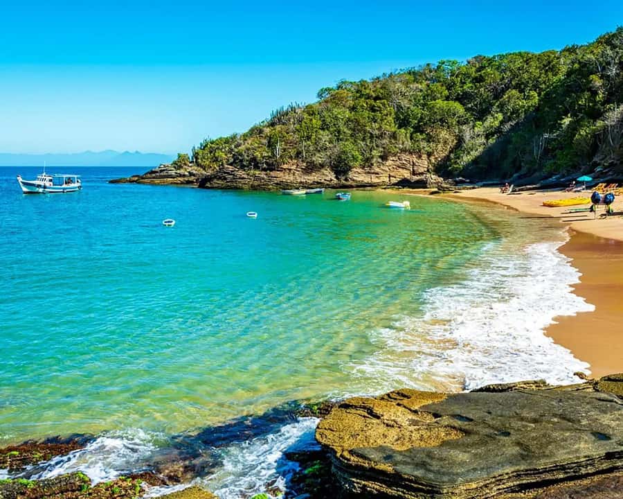 Discover Búzios Beaches and Boat Tours - Leaving from Búzios - Price and value: what $56 covers, and what you should budget for