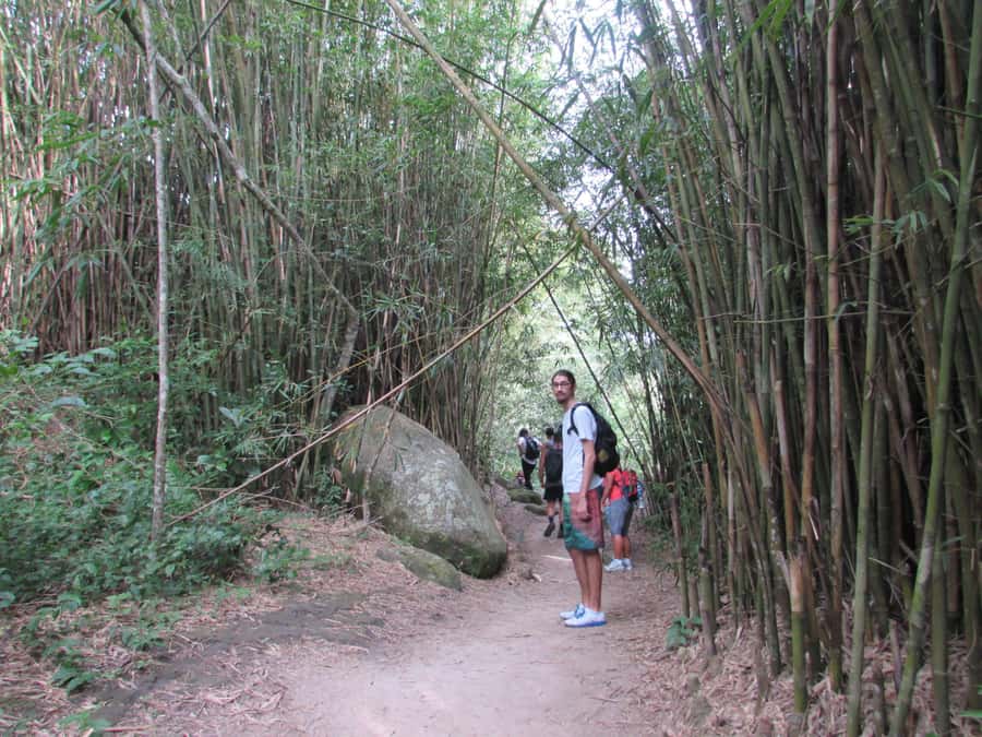 Discover Pedra do Telégrafo: Scenic Hike with Expert Guide - Key highlights to look for on this hike