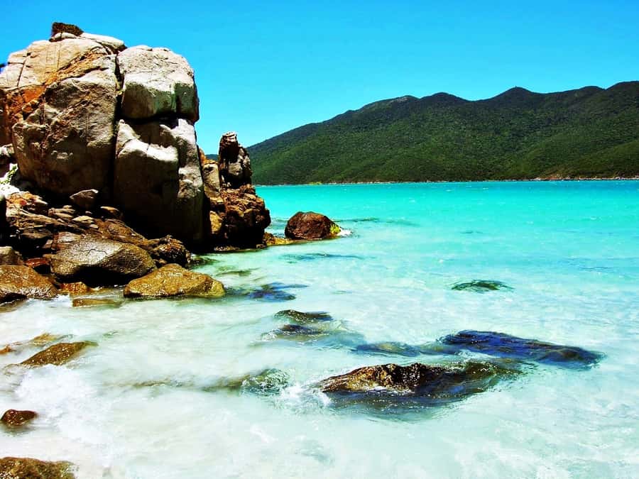 From Rio: Arraial do Cabo - The Brazilian Caribbean Daytrip - The 3 swim stops: how each one changes the rhythm