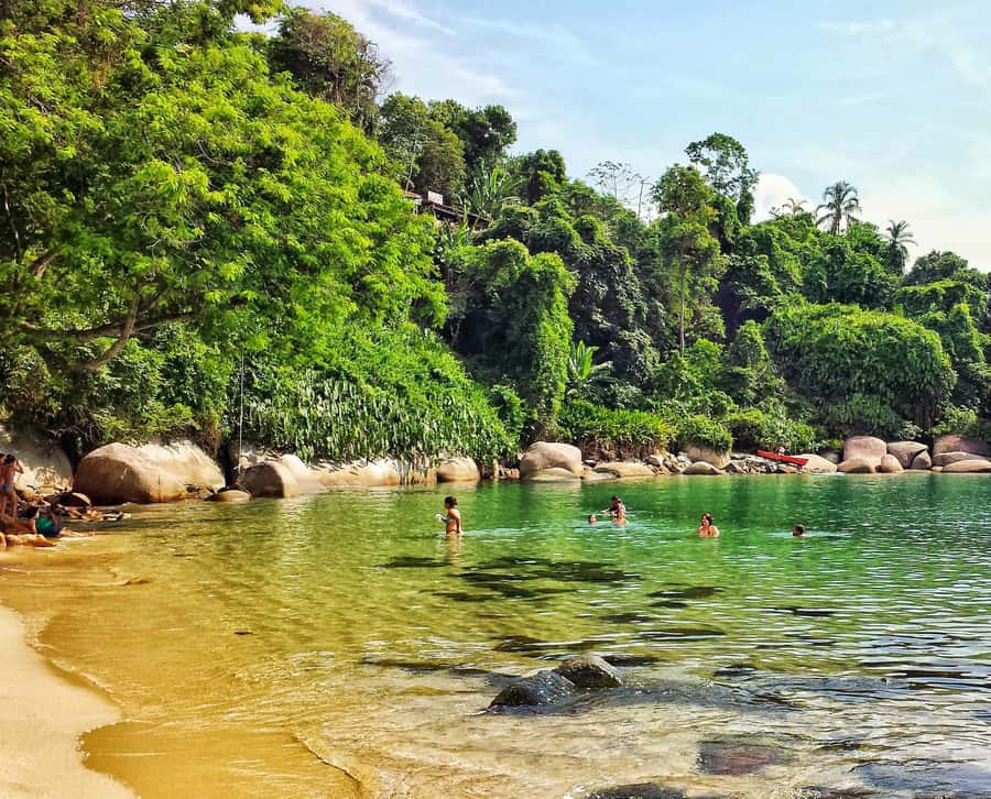 From Rio de Janeiro: Angra dos Reis Boat Trip with Lunch - The early bus ride from Rio, and how to survive it