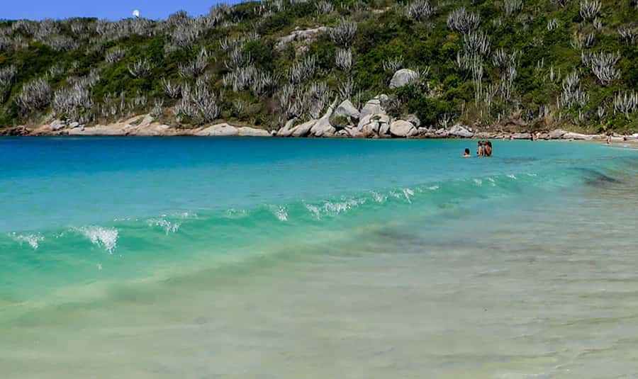 From Rio de Janeiro: Arraial do Cabo Island Day Trip - Who This Day Trip Is Best For, and Who Should Skip It