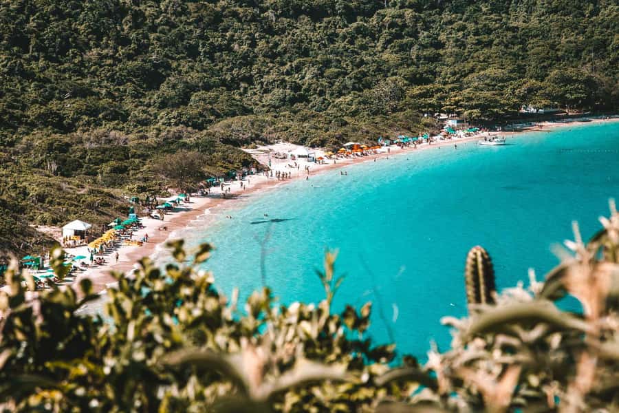 From Rio de Janeiro: Arraial do Cabo Island Day Trip - On the Water: Boat Comfort, Rooftop Seats, and Marine Life Chances