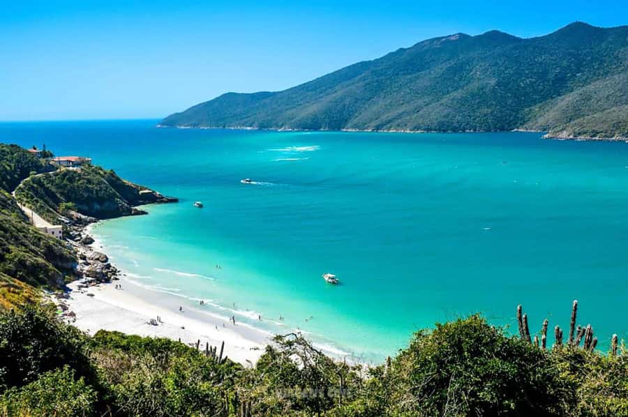 From Rio de Janeiro: Arraial do Cabo Island Day Trip - Lunch at the Buffet and How to Time Your Eating