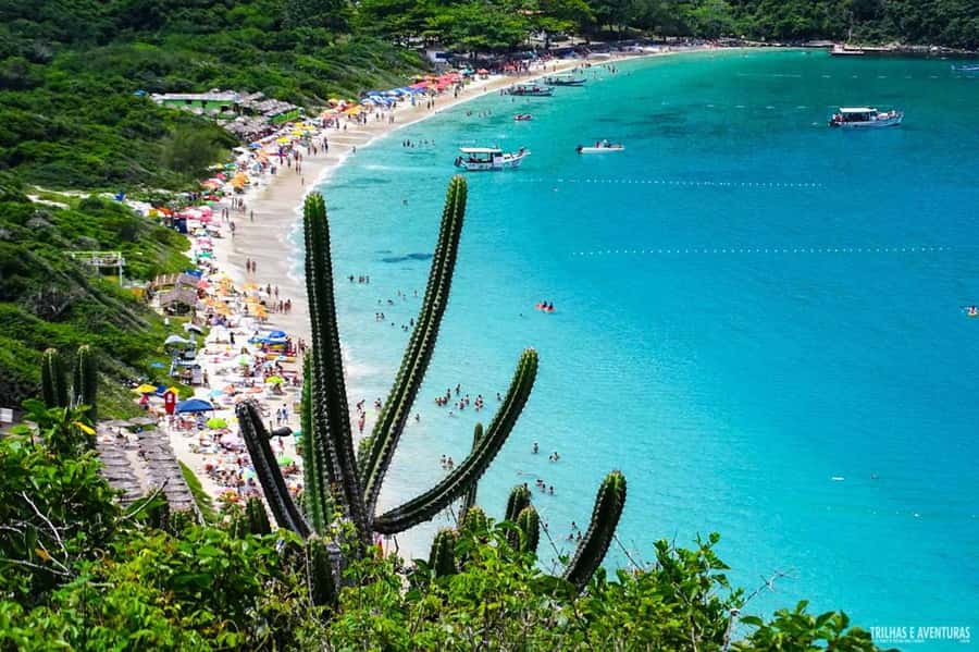 From Rio de Janeiro: Arraial do Cabo Island Day Trip - Price Breakdown: What $67 Covers, and the Fees to Budget