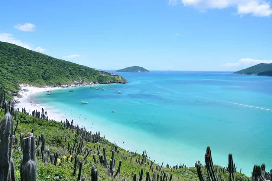 From Rio de Janeiro: Arraial do Cabo Island Day Trip - Pickup, Meeting Points, and Getting Through the Morning