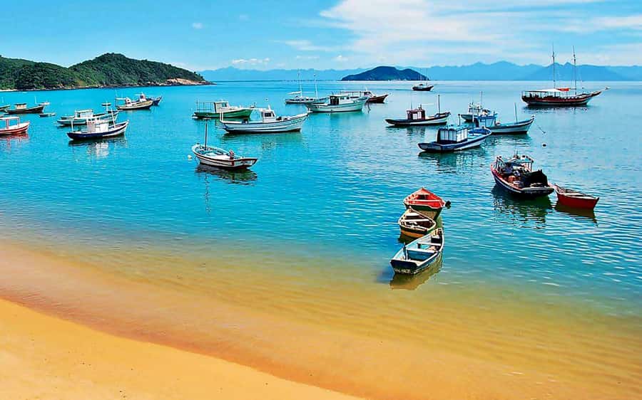 From Rio de Janeiro: Búzios Full-Day Boat Tour - Should you book this Búzios Full-Day Boat Tour?