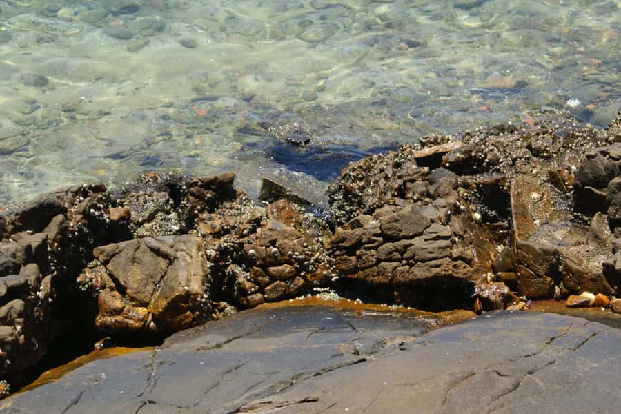 From Rio: Full-Day Angra dos Reis Cruise & Island Tour - Who this is best for, and who should look twice