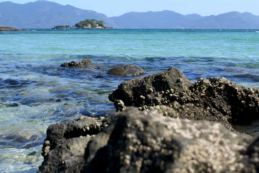 From Rio: Full-Day Angra dos Reis Cruise & Island Tour - From Rio hotels to Santos harbor, expect a real travel day