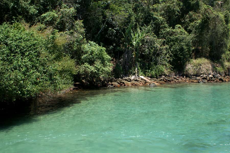 From Rio: Full-Day Angra dos Reis Cruise & Island Tour - Swimming coves by boat, and the real question: how much time?
