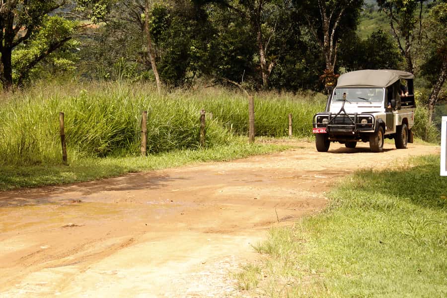 Full-Day Jungle Jeep Waterfall and Cachaça Distillery Tour - A 6-Hour Jungle Plan That Feels Like Two Days