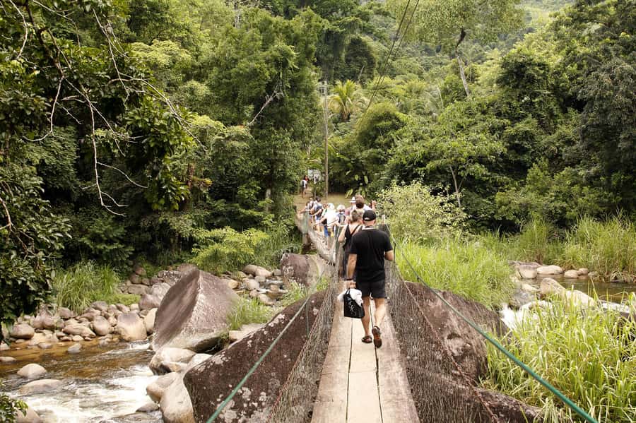 Full-Day Jungle Jeep Waterfall and Cachaça Distillery Tour - Engenho D’ouro Distillery Tasting, and How the Process Shows Up