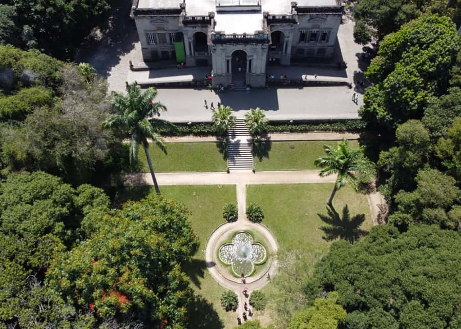 Green Rio: Guided Tour of Botanical Garden and Lage Park - Timing, walking comfort, and what to pack