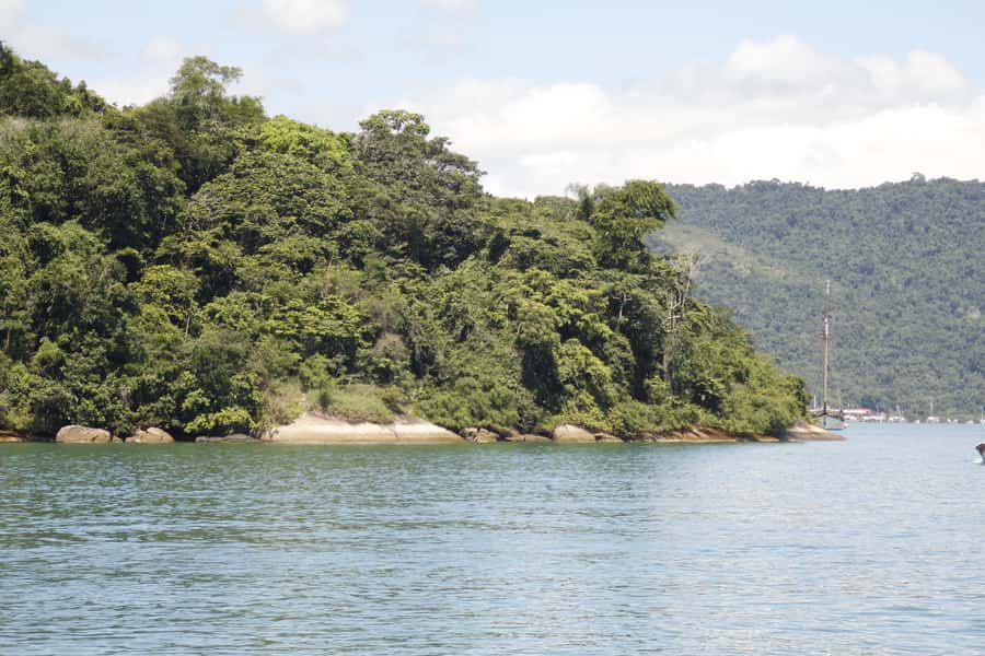 Half-Day Schooner Cruise and Snorkeling in Paraty Bay - The horn, the 40-minute rhythm, and how to snorkel smarter