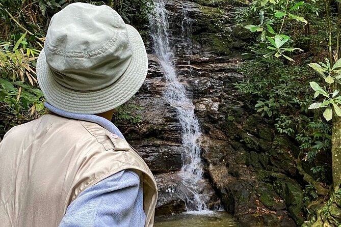 Hiking in the Tijuca Forest : Waterfalls and Caves - From Mirante das Canoas to San Conrado views, start strong