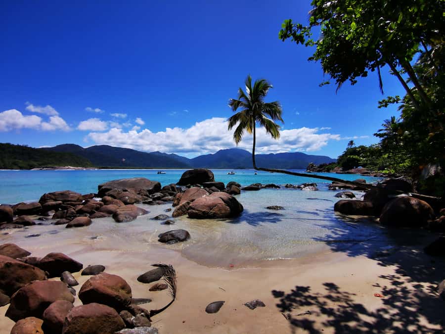 Ilha Grande: 360° Circumnavigation Speed Boat Tour - 8h - How the full day flows, from Caiçara Turismo to the 360° loop