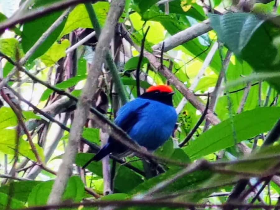 Ilha Grande: Private Hiking with Forest, Beaches & Waterfall - Who this private hike fits well, and who should choose a gentler plan