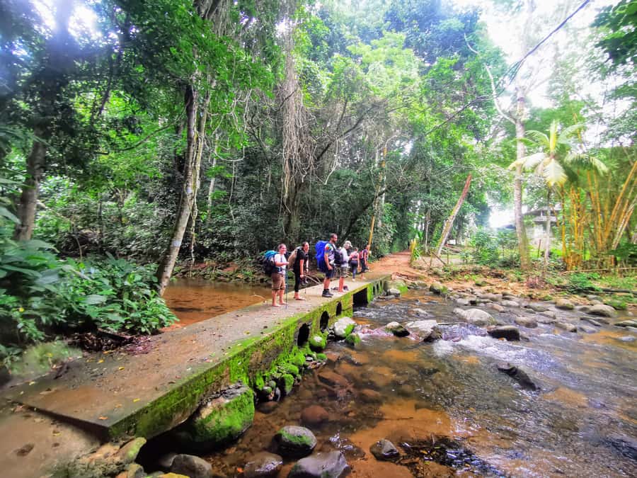 Ilha Grande: Private Hiking with Forest, Beaches & Waterfall - Starting in Vila do Abraão, with a safety-first private guide