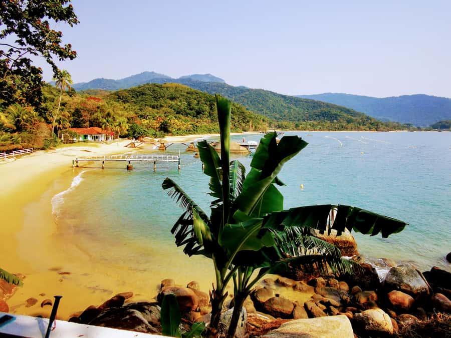 Ilha Grande: Private Hiking with Forest, Beaches & Waterfall - The Atlantic Forest trail: moderate effort, real biodiversity, good chances for wildlife