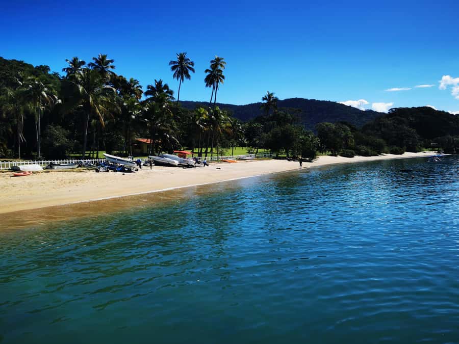 Ilha Grande: Private Hiking with Forest, Beaches & Waterfall - Feiticeira waterfall: 13 meters of rainforest power and a cooling shower