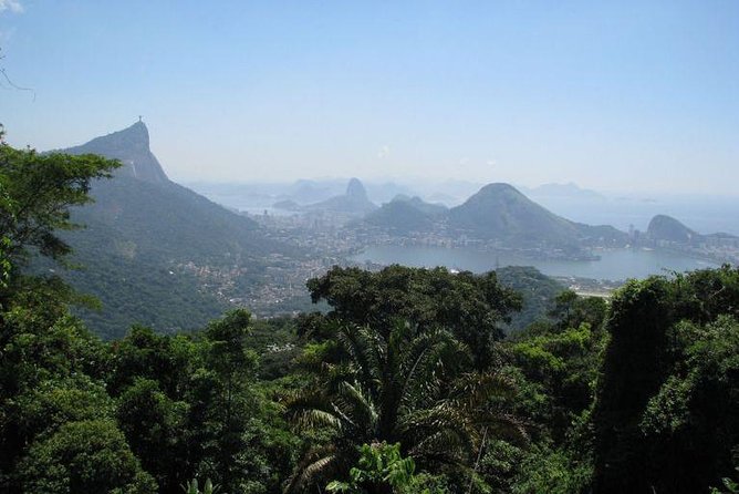 Jeep Adventure: Guided Tour through Tijuca Rain Forest - Is $88.21 Worth It for a 4-Hour Tijuca Jeep Tour?