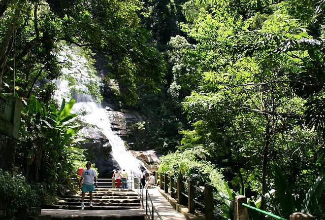 Jeep Adventure: Guided Tour through Tijuca Rain Forest - The Gentle Hike: Cascatinha Taunay and the Real Rainforest Feeling