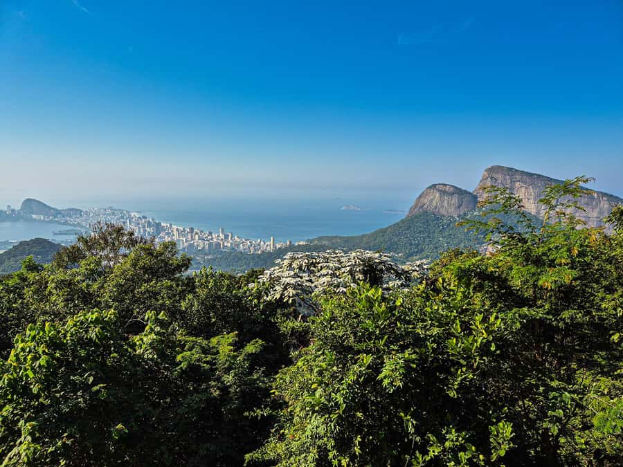 Jeep'n'Culture: Rocinha Favela and Tijuca Rainforest Tour - Visitor Center easy hike and wildlife chances in the urban rainforest