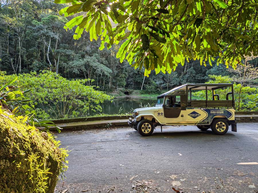 Jeep'n'Culture: Rocinha Favela and Tijuca Rainforest Tour - Cascatinha Taunay waterfall photos, without the full hiking day