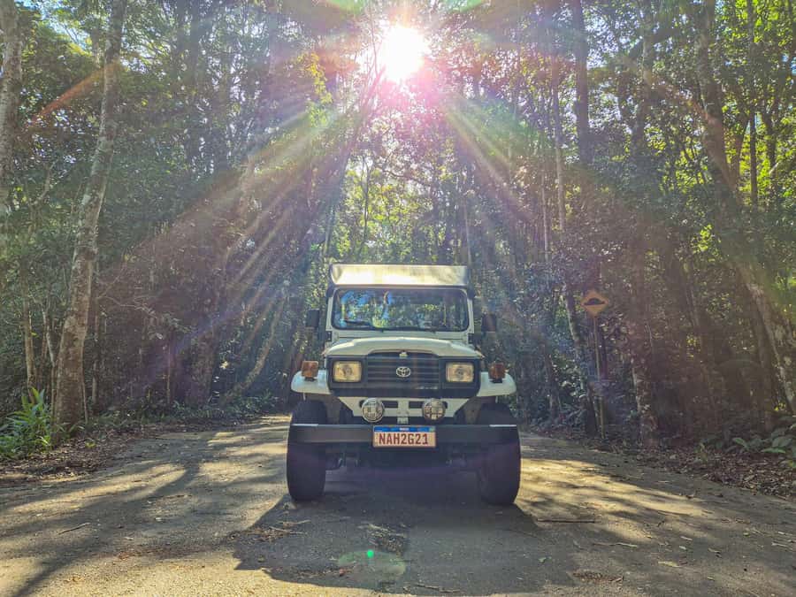 Jeep'n'Green: Rio Botanical Garden & Tijuca Rainforest Tour - Key highlights worth centering in your plans