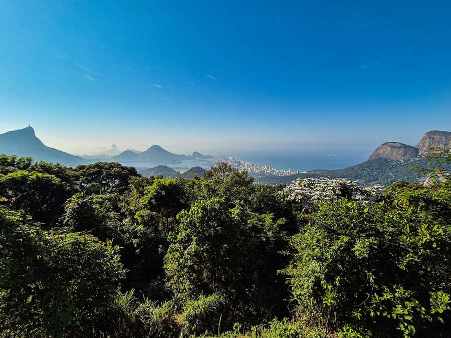 Jeep'n'Green: Rio Botanical Garden & Tijuca Rainforest Tour - What to bring, and rules that keep the forest safe