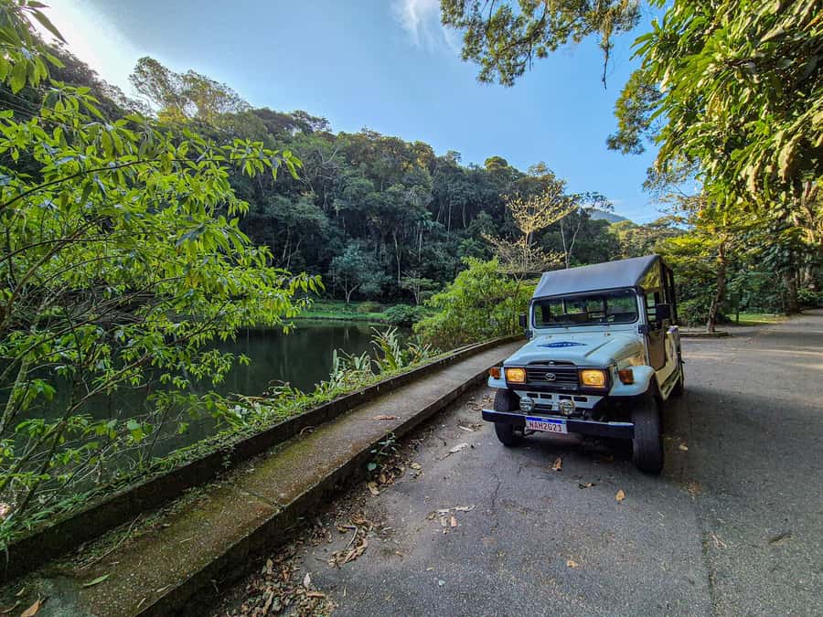 Jeep'n'Green: Rio Botanical Garden & Tijuca Rainforest Tour - A 4-hour plan that hits Rio’s forest and plant world