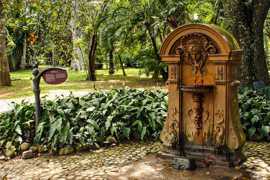 Jeep'n'Green: Rio Botanical Garden & Tijuca Rainforest Tour - Jeep through Tijuca: Emperor’s Table and Mayrink Chapel viewpoints