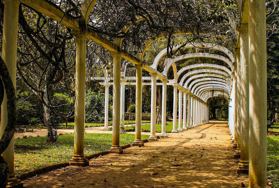 Jeep'n'Green: Rio Botanical Garden & Tijuca Rainforest Tour - The short eco-trek to Cachoeira dos Macacos