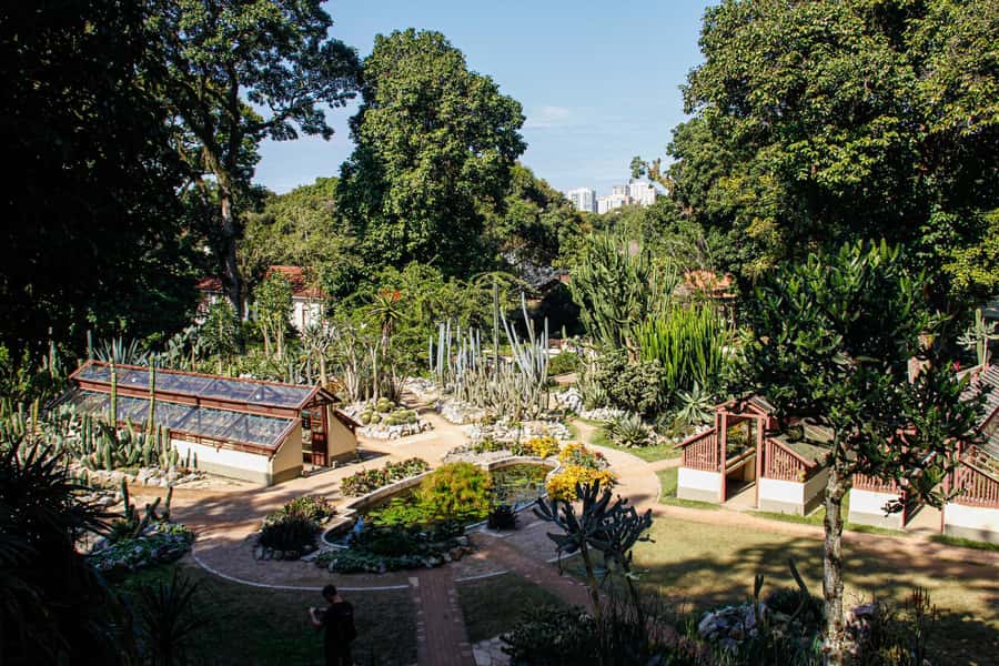 Jeep'n'Green: Rio Botanical Garden & Tijuca Rainforest Tour - Price and value: what $95 buys you in real time